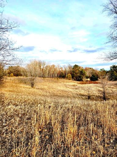 TBD-5.58AC Elk Lake Road NW, Elk River, MN 55330