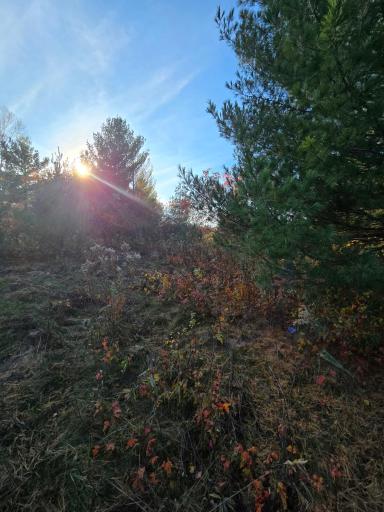 XXX1 Gregory, Hillman, MN 56338