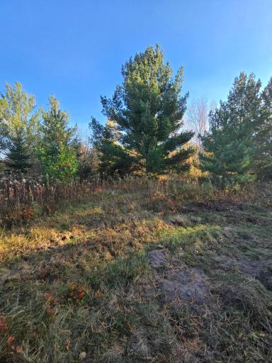 XXX1 Gregory, Hillman, MN 56338