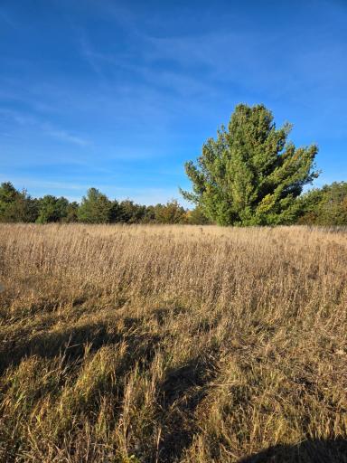 XXX1 Gregory, Hillman, MN 56338
