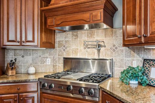 Beautiful custom range hood, plus note the convenient pot filler!