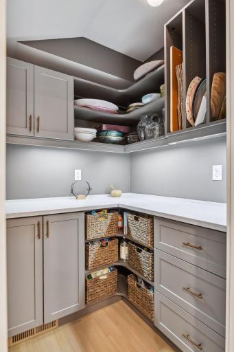 Awesome, new built-in cabinetry - awesome extra walk-in storage space.