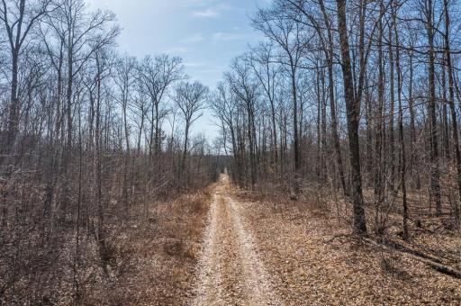 TBD 250th Place, Isle, MN 56342