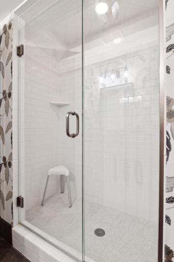 Stand up shower in the lower level bathroom.