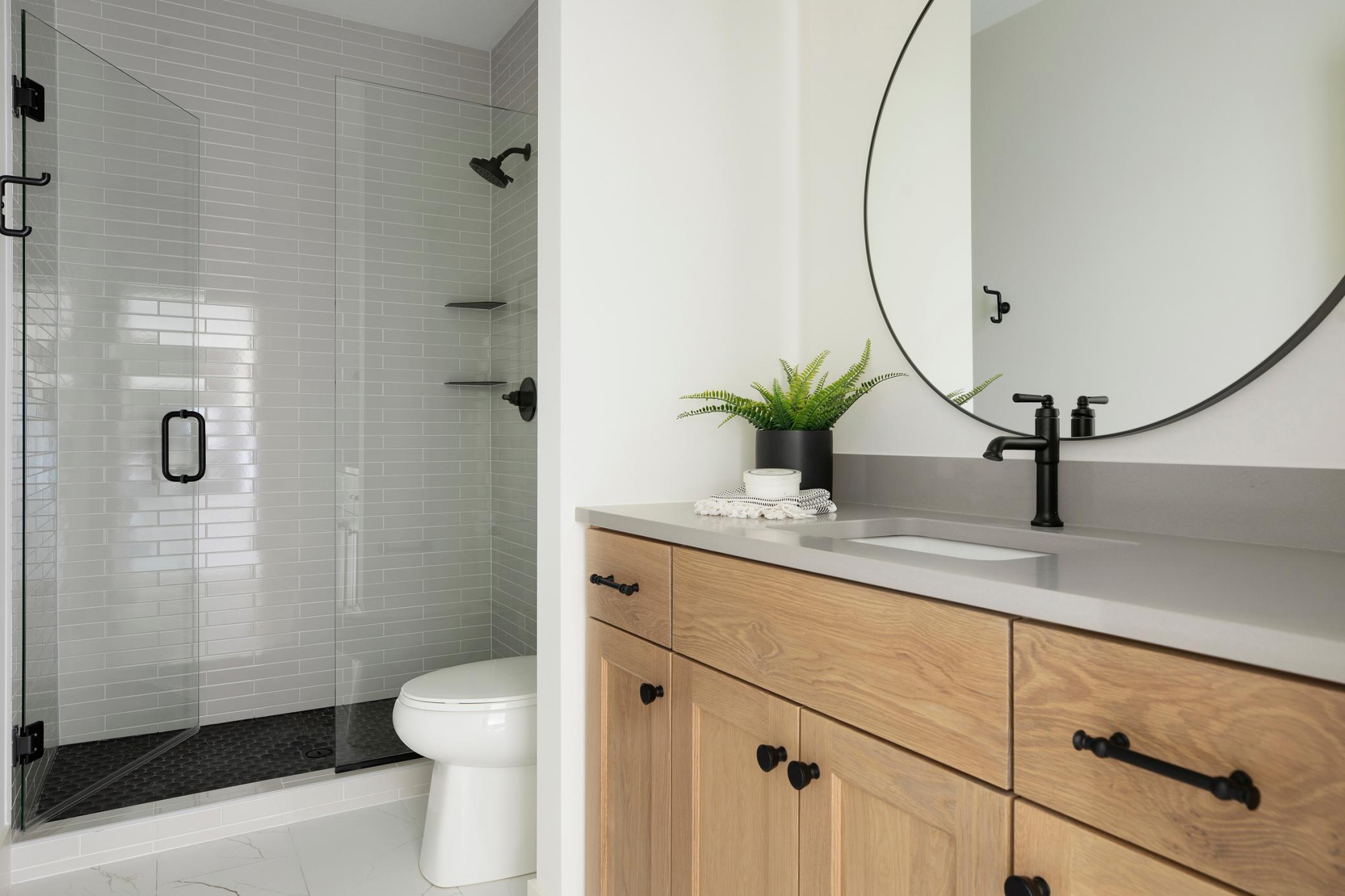 Lower level 5th Bathroom