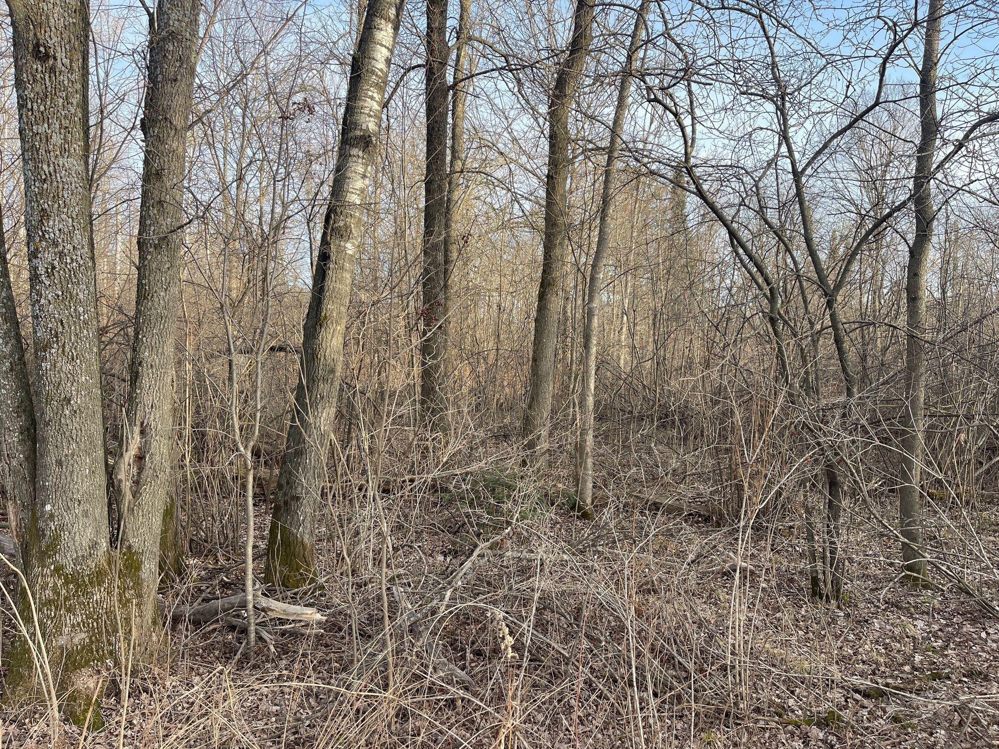 IMG_6216.JPG
