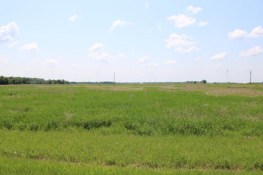 Lot 5 Willchard Drive, Thief River Falls, MN 56701