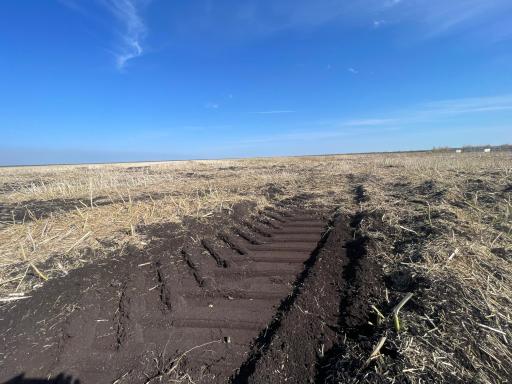 TBD 350th, Roseau, MN 56751