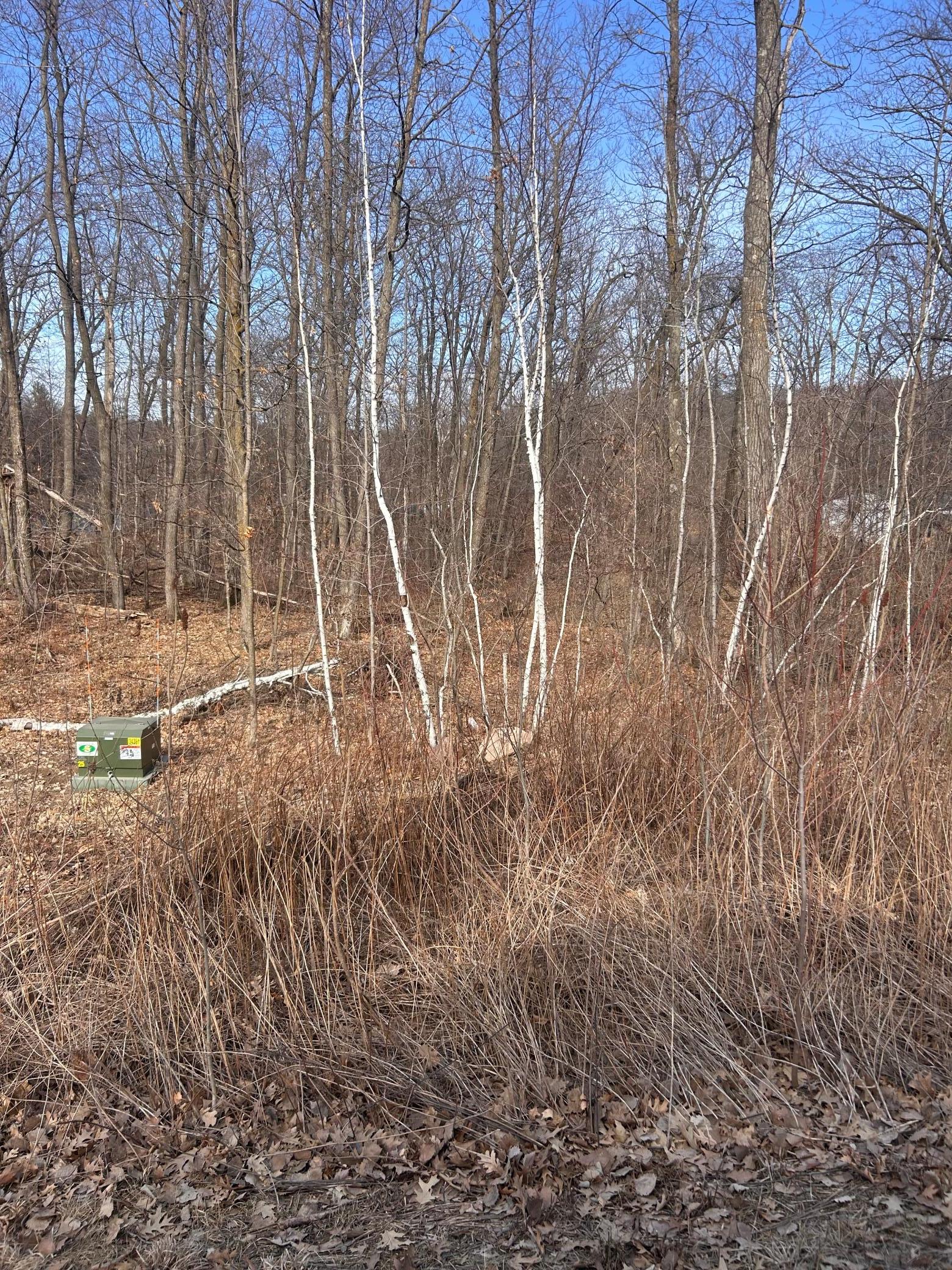Property photo for xxx Lake Camile Rd, Cushing, MN 56443
