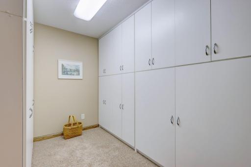 Large storage room with built-in cabinetry.