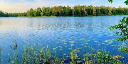 TBD Peninsula Court NE, Bemidji, MN 56601