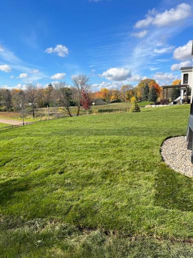 Private Walkout yard