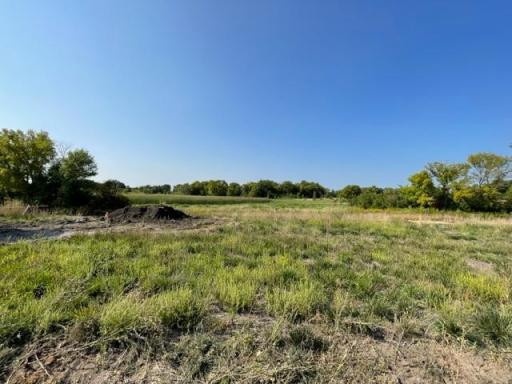 Homesite backyard views. Photo taken in the summer of 2023 before the home was excavated.