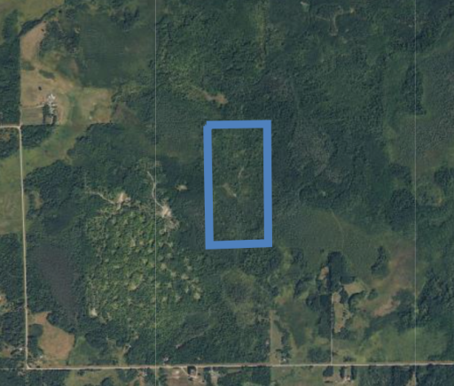 TBD Driftwood, Mcgregor, MN 55760
