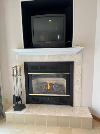 7324Vinewood Ct Lower level gas fireplace