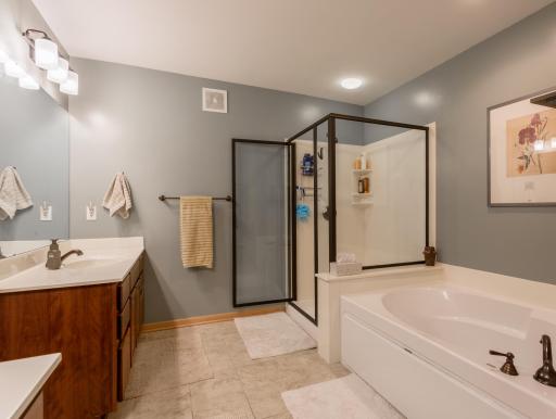 1678 Village Trail E, 1, Saint Paul, MN 55109