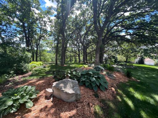 1019 Hunters Point Lane SW, Rochester, MN 55902