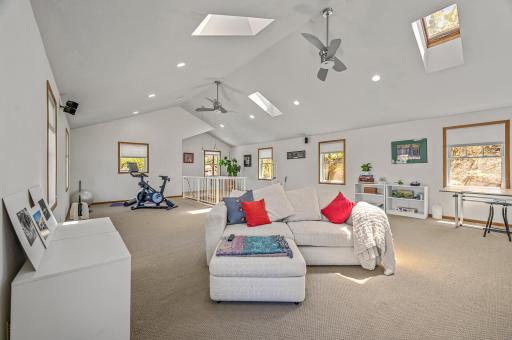 This room is so cool! Tons of space to make it your own and unique features with the vaulted ceiling and skylights!