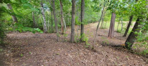 7280 County Road 8 NE, Longville, MN 56655