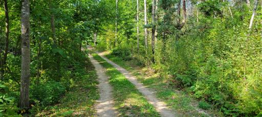 7280 County Road 8 NE, Longville, MN 56655