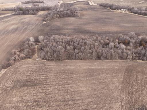 DJI_20240319094823_0008_D_M4.JPG