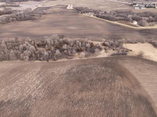 DJI_20240319094910_0010_D_M4.JPG