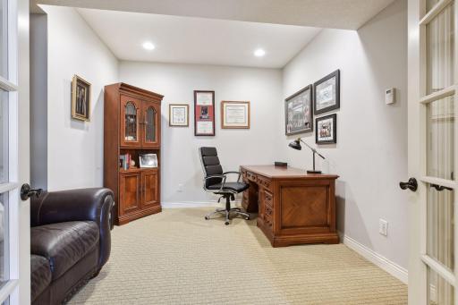 Lower level office offering glass French doors, recessed lighting, and walk-in cedar closet.