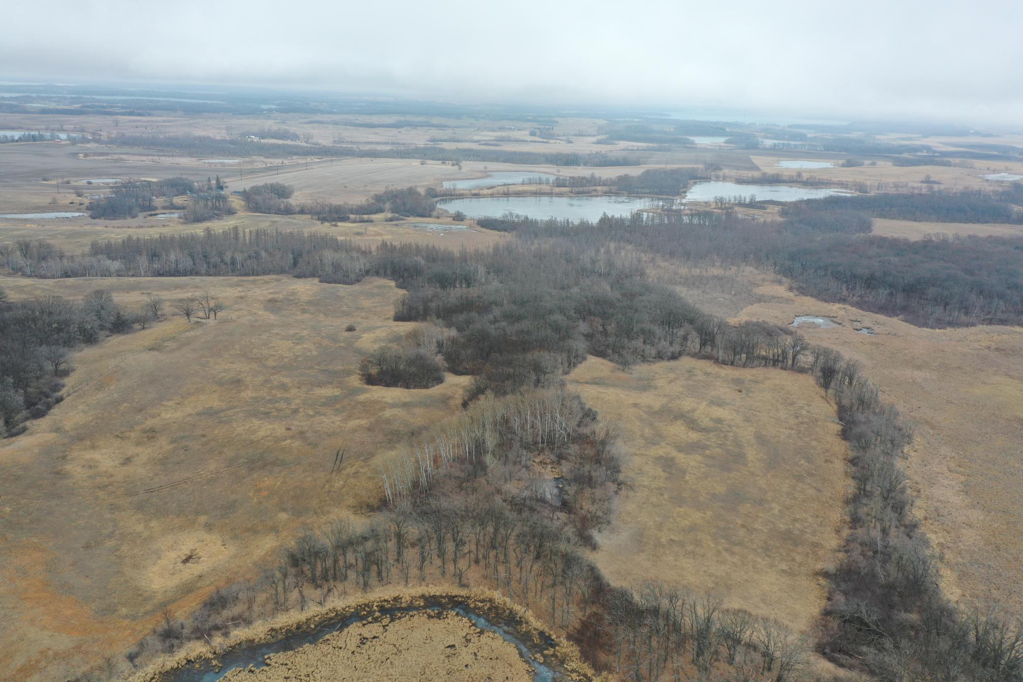 DJI_0707.JPG