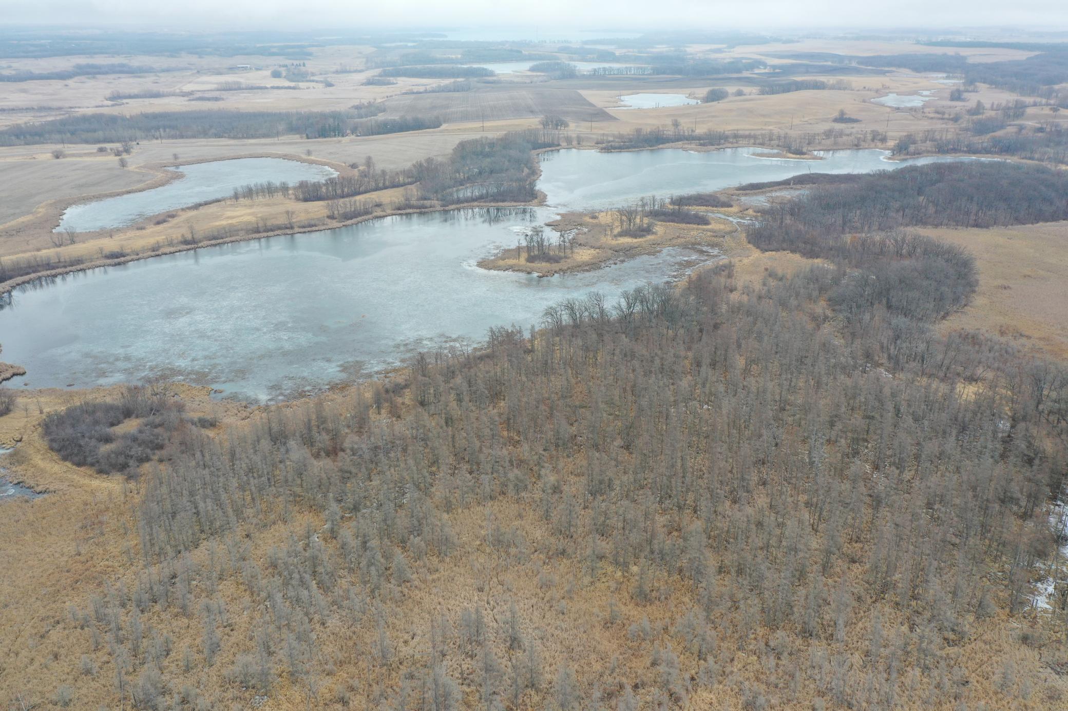 DJI_0709.JPG