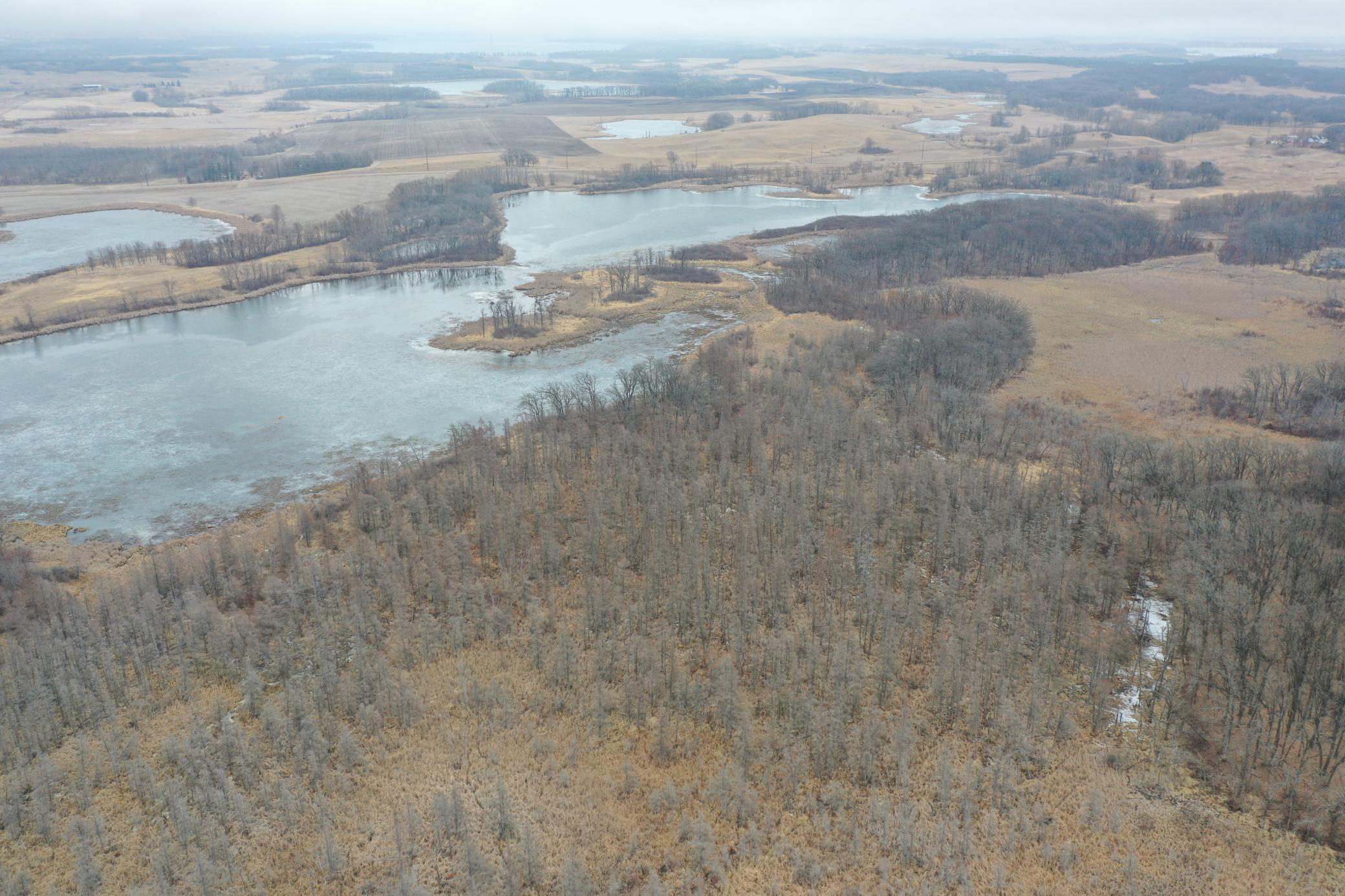 DJI_0710.JPG