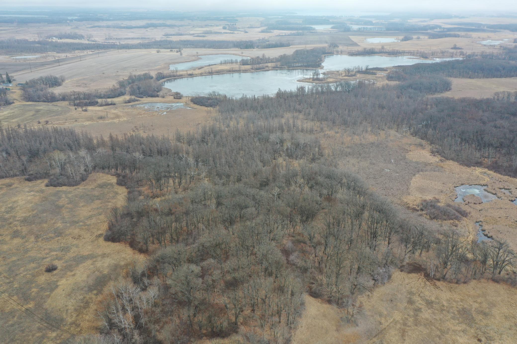 DJI_0708.JPG