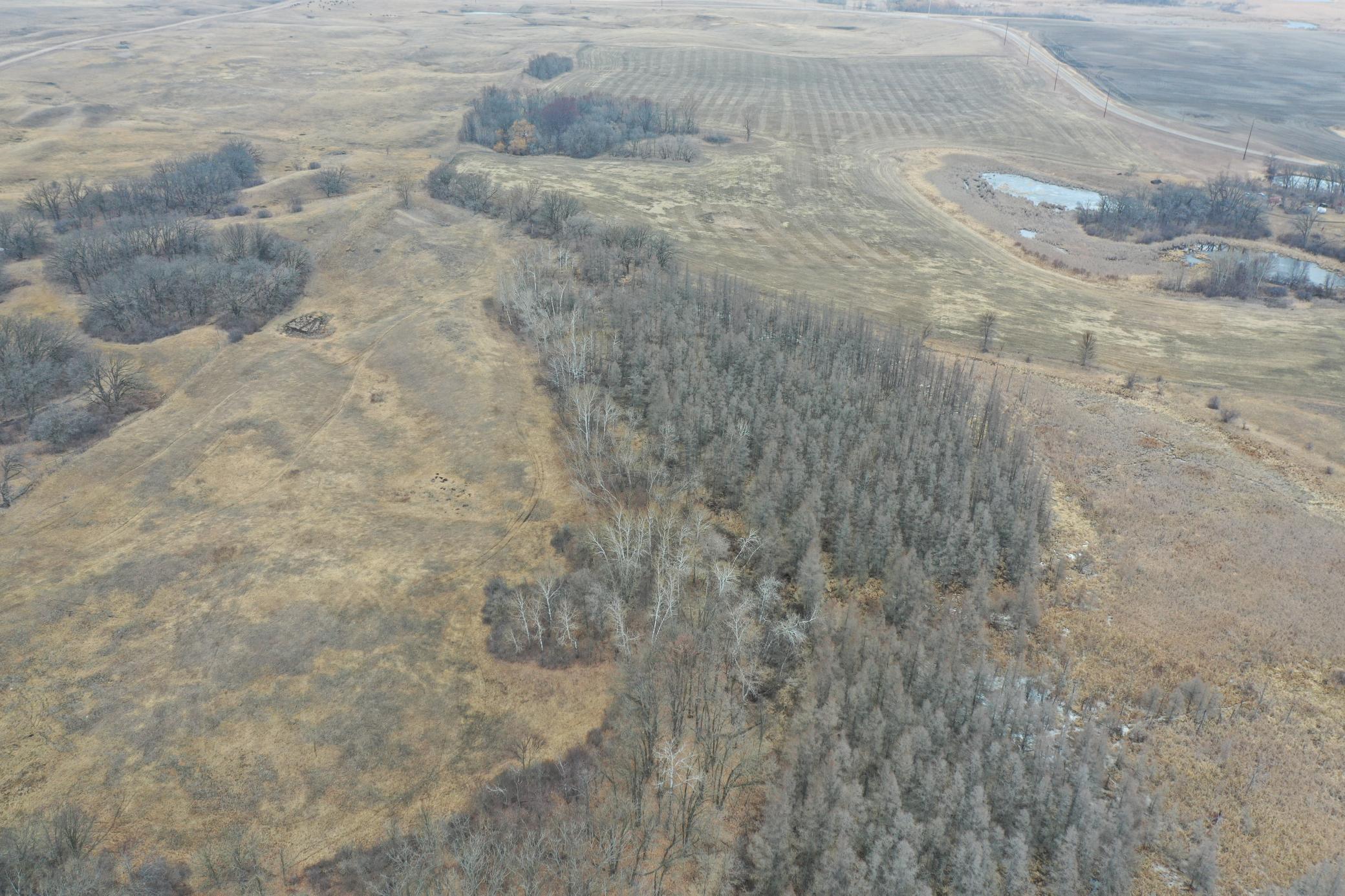 DJI_0712.JPG