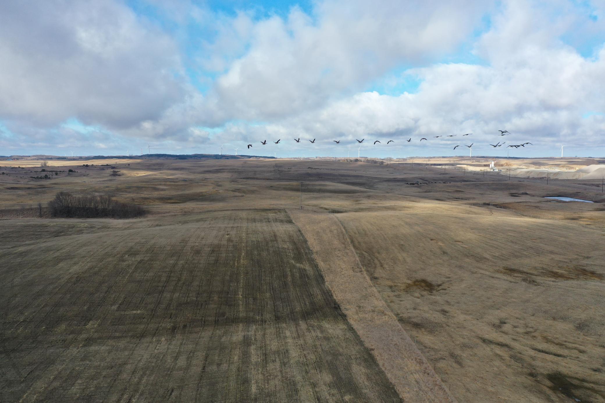 DJI_0716.JPG