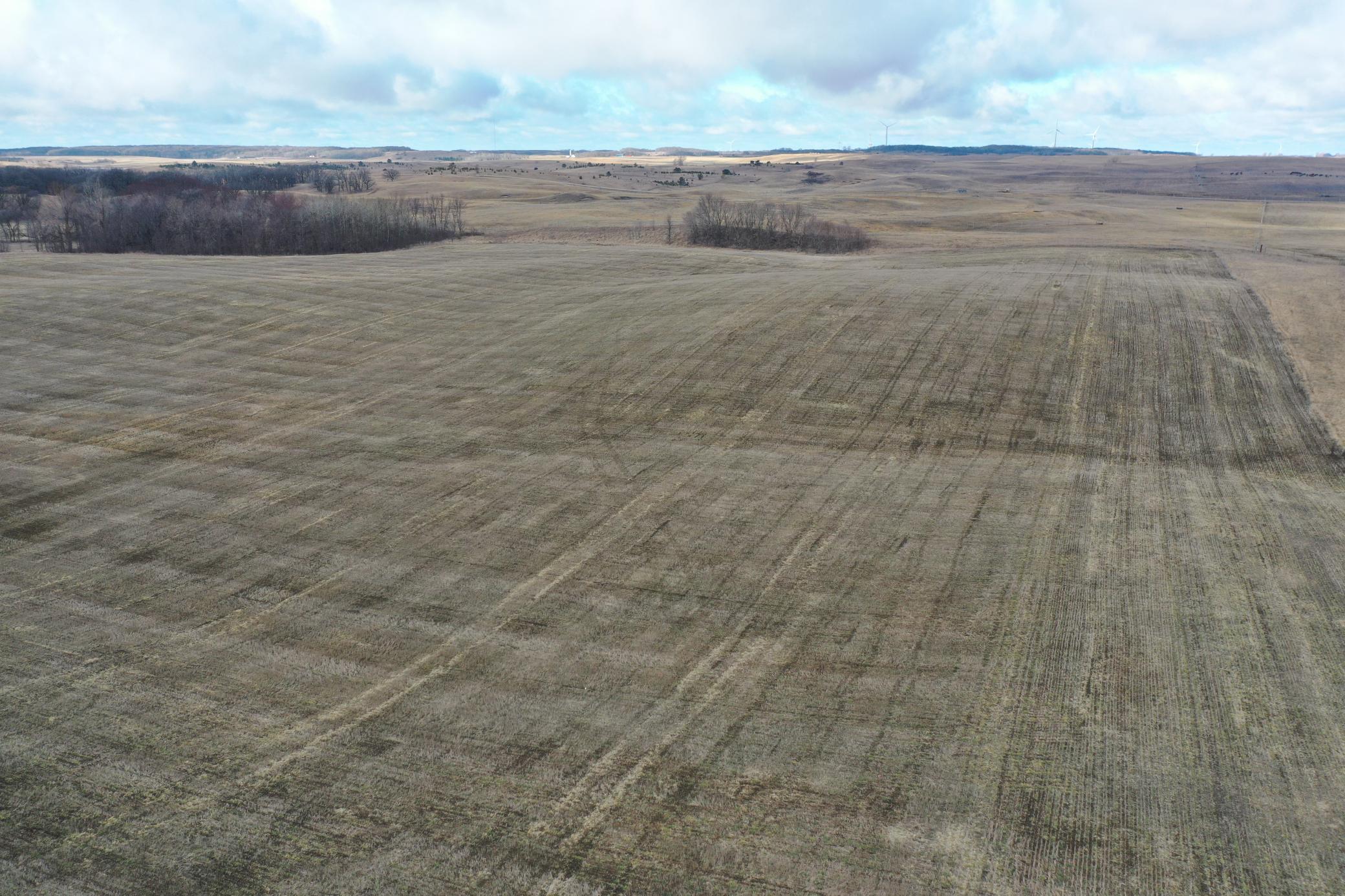 DJI_0714.JPG