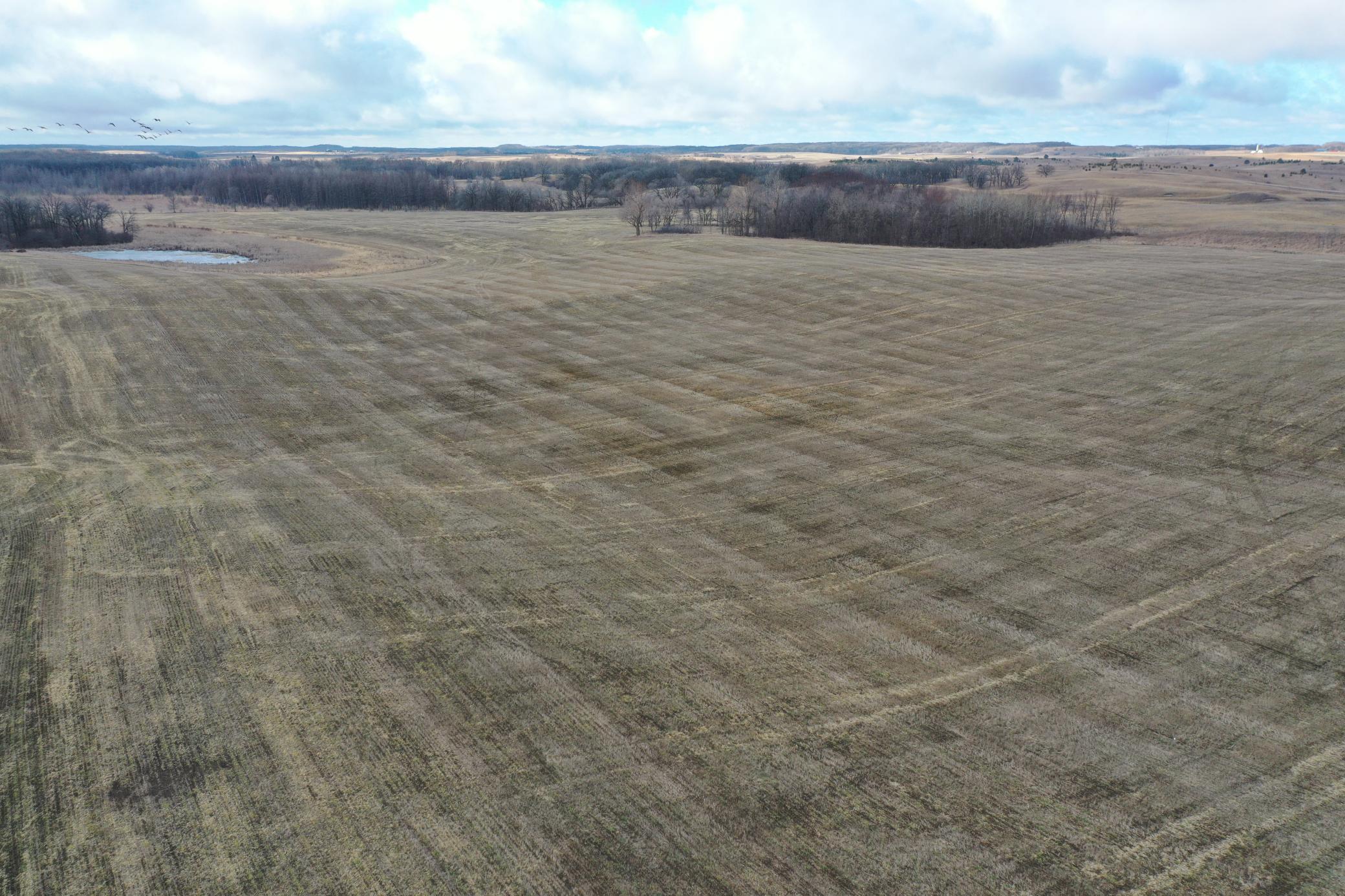 DJI_0715.JPG