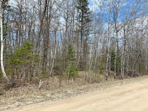 LOT 4 Woodtick Trail NW, Hackensack, MN 56452