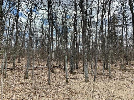 LOT 4 Woodtick Trail NW, Hackensack, MN 56452