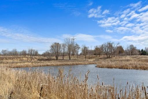 7607 Jensen Avenue S, Cottage Grove, MN 55016