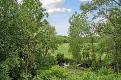 Enjoy the view with small pond and waterfall