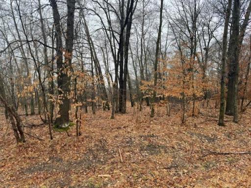 Level lot with almost 3/4 an acre to build
