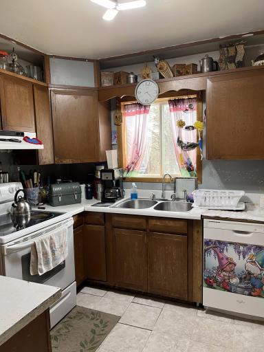 Kitchen window, stainless steel sink & dishwasher.jpg