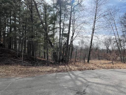 TBD Edna Lane, Nisswa, MN 56468