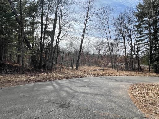 TBD Edna Lane, Nisswa, MN 56468