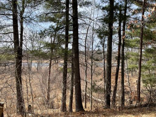 TBD Edna Lane, Nisswa, MN 56468