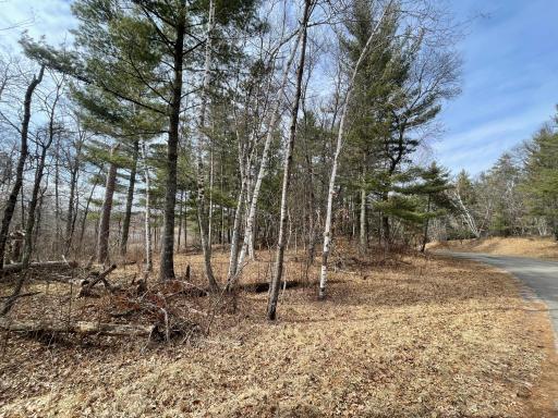 TBD Edna Lane, Nisswa, MN 56468