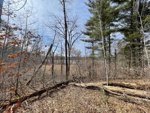 TBD Edna Lane, Nisswa, MN 56468