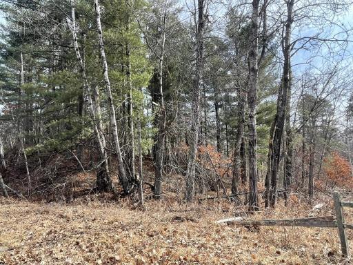 TBD Edna Lane, Nisswa, MN 56468