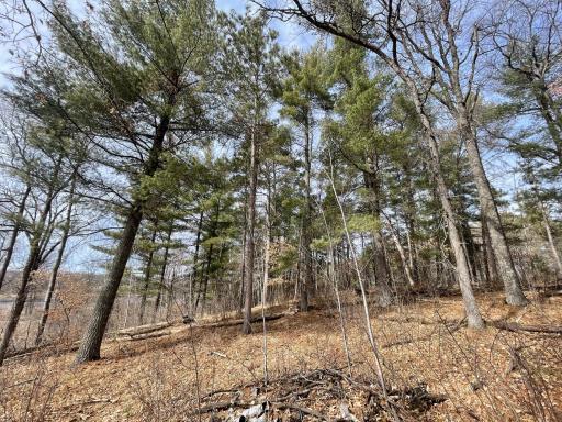 TBD Edna Lane, Nisswa, MN 56468