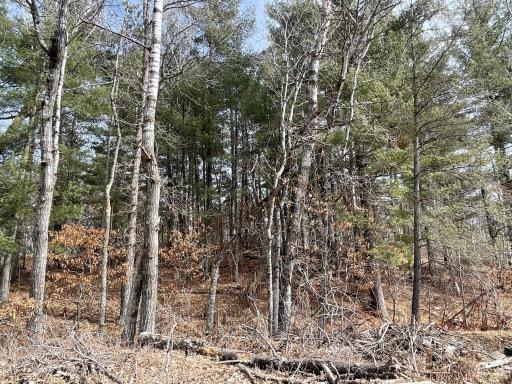 TBD Edna Lane, Nisswa, MN 56468