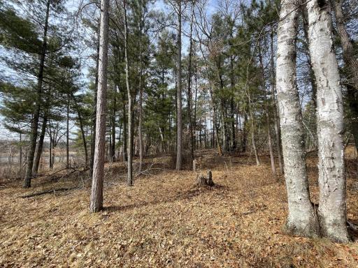 TBD Edna Lane, Nisswa, MN 56468